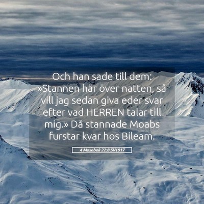 Picture 05 - 4 Mosebok 22:8 SV1917 - Och han sade till dem: »Stannen här över - Bible Verse Picture