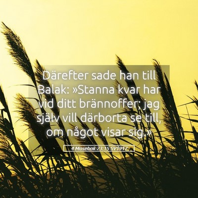 Picture 05 - 4 Mosebok 23:15 SV1917 - Därefter sade han till Balak: »Stanna kvar har - Bible Verse Picture