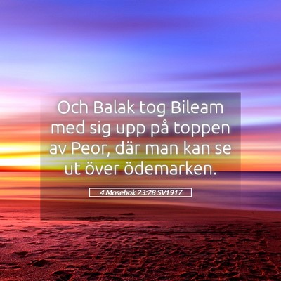 Picture 05 - 4 Mosebok 23:28 SV1917 - Och Balak tog Bileam med sig upp på toppen av - Bible Verse Picture