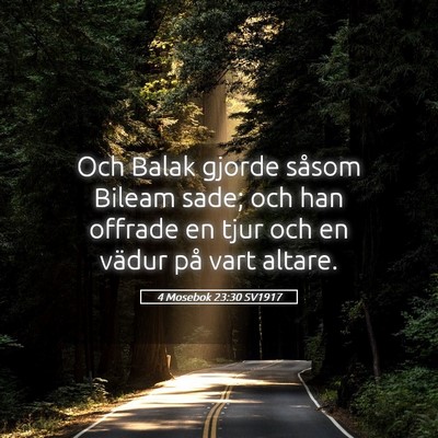 Picture 05 - 4 Mosebok 23:30 SV1917 - Och Balak gjorde såsom Bileam sade; och han - Bible Verse Picture