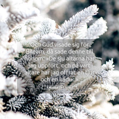 Picture 05 - 4 Mosebok 23:4 SV1917 - Och Gud visade sig för Bileam; då sade denne - Bible Verse Picture