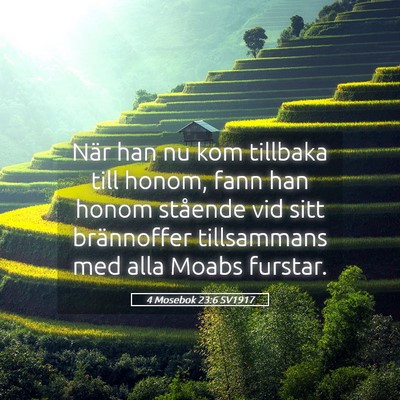 Picture 05 - 4 Mosebok 23:6 SV1917 - När han nu kom tillbaka till honom, fann han - Bible Verse Picture