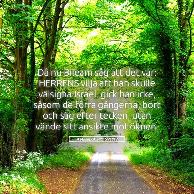 Picture 05 - 4 Mosebok 24:1 SV1917 - Då nu Bileam såg att det var: HERRENS vilja att - Bible Verse Picture
