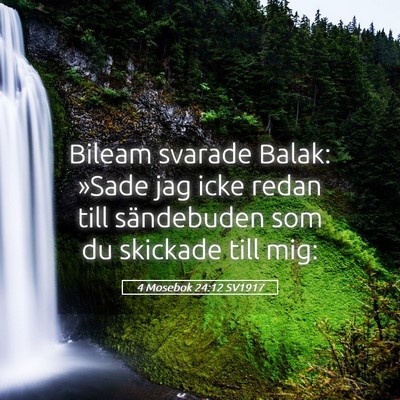 Picture 05 - 4 Mosebok 24:12 SV1917 - Bileam svarade Balak: »Sade jag icke redan till - Bible Verse Picture