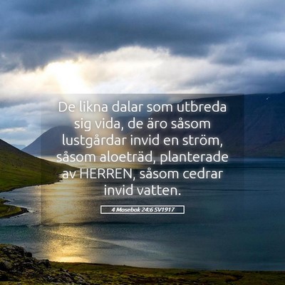Picture 05 - 4 Mosebok 24:6 SV1917 - De likna dalar som utbreda sig vida, de äro - Bible Verse Picture