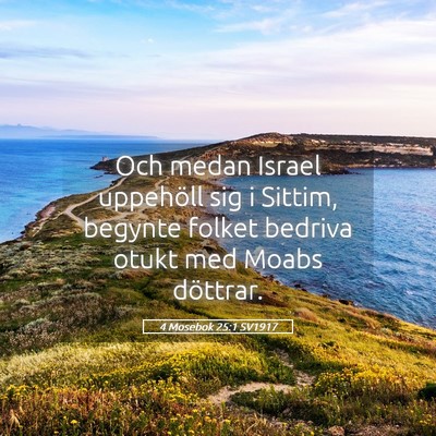 Picture 05 - 4 Mosebok 25:1 SV1917 - Och medan Israel uppehöll sig i Sittim, begynte - Bible Verse Picture
