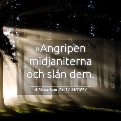 Picture 05 - 4 Mosebok 25:17 SV1917 - »Angripen midjaniterna och slån - Bible Verse Picture