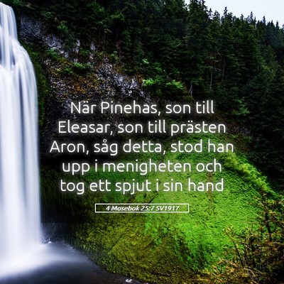 Picture 05 - 4 Mosebok 25:7 SV1917 - När Pinehas, son till Eleasar, son till prästen - Bible Verse Picture