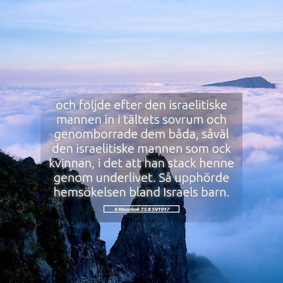 Picture 05 - 4 Mosebok 25:8 SV1917 - och följde efter den israelitiske mannen in i - Bible Verse Picture