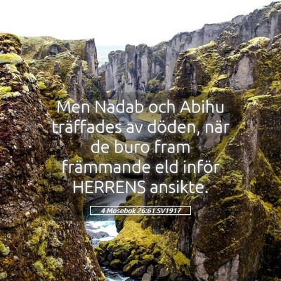 Picture 05 - 4 Mosebok 26:61 SV1917 - Men Nadab och Abihu träffades av döden, när de - Bible Verse Picture