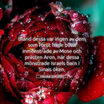 Picture 05 - 4 Mosebok 26:64 SV1917 - Bland dessa var ingen av dem som förut hade - Bible Verse Picture
