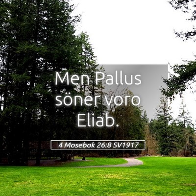 Picture 05 - 4 Mosebok 26:8 SV1917 - Men Pallus söner voro - Bible Verse Picture