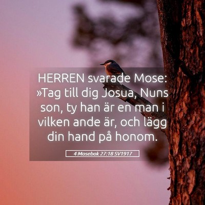 Picture 05 - 4 Mosebok 27:18 SV1917 - HERREN svarade Mose: »Tag till dig Josua, Nuns - Bible Verse Picture