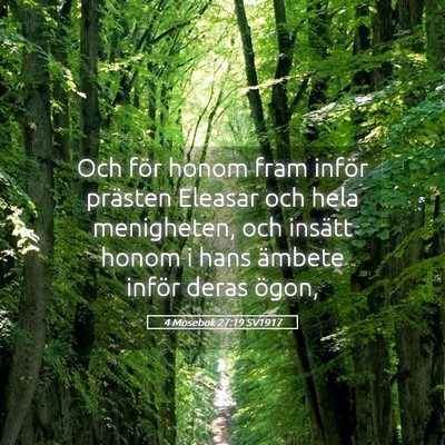 Picture 05 - 4 Mosebok 27:19 SV1917 - Och för honom fram inför prästen Eleasar och - Bible Verse Picture