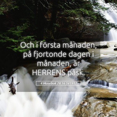 Picture 05 - 4 Mosebok 28:16 SV1917 - Och i första månaden, på fjortonde dagen i - Bible Verse Picture