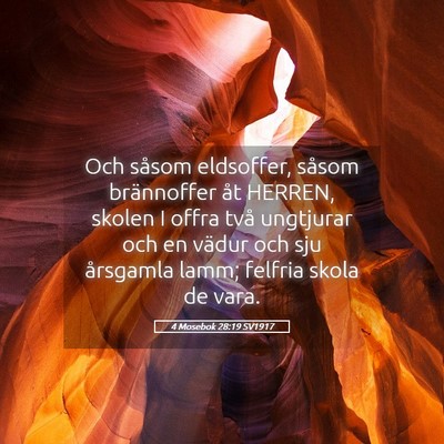 Picture 05 - 4 Mosebok 28:19 SV1917 - Och såsom eldsoffer, såsom brännoffer åt - Bible Verse Picture