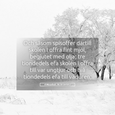 Picture 05 - 4 Mosebok 28:20 SV1917 - Och såsom spisoffer därtill skolen I offra fint - Bible Verse Picture