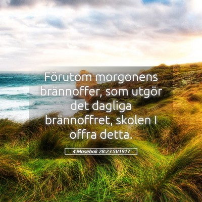 Picture 05 - 4 Mosebok 28:23 SV1917 - Förutom morgonens brännoffer, som utgör det - Bible Verse Picture