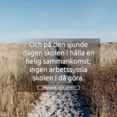 Picture 05 - 4 Mosebok 28:25 SV1917 - Och på den sjunde dagen skolen I hålla en helig - Bible Verse Picture