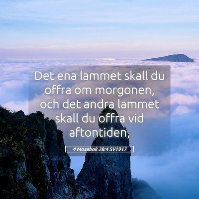 Picture 05 - 4 Mosebok 28:4 SV1917 - Det ena lammet skall du offra om morgonen, och - Bible Verse Picture