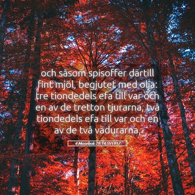 Picture 05 - 4 Mosebok 29:14 SV1917 - och såsom spisoffer därtill fint mjöl, - Bible Verse Picture