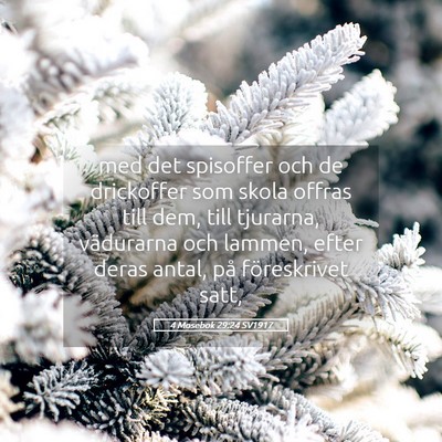 Picture 05 - 4 Mosebok 29:24 SV1917 - med det spisoffer och de drickoffer som skola - Bible Verse Picture