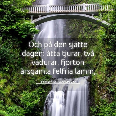 Picture 05 - 4 Mosebok 29:29 SV1917 - Och på den sjätte dagen: åtta tjurar, två - Bible Verse Picture
