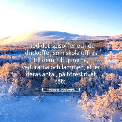 Picture 05 - 4 Mosebok 29:30 SV1917 - med det spisoffer och de drickoffer som skola - Bible Verse Picture