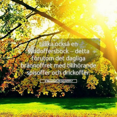 Picture 05 - 4 Mosebok 29:34 SV1917 - tillika också en syndoffersbock -- detta - Bible Verse Picture