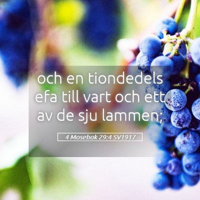 Picture 05 - 4 Mosebok 29:4 SV1917 - och en tiondedels efa till vart och ett av de sju - Bible Verse Picture