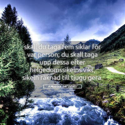 Picture 05 - 4 Mosebok 3:47 SV1917 - skall du taga fem siklar för var person; du - Bible Verse Picture
