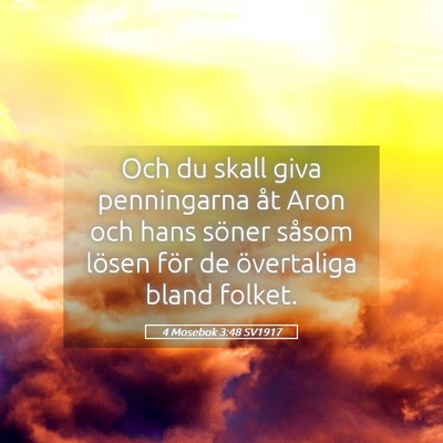 Picture 05 - 4 Mosebok 3:48 SV1917 - Och du skall giva penningarna åt Aron och hans - Bible Verse Picture