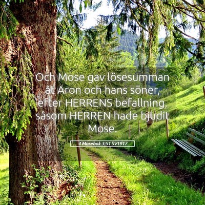 Picture 05 - 4 Mosebok 3:51 SV1917 - Och Mose gav lösesumman åt Aron och hans - Bible Verse Picture