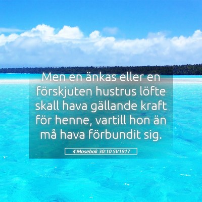 Picture 05 - 4 Mosebok 30:10 SV1917 - Men en änkas eller en förskjuten hustrus löfte - Bible Verse Picture