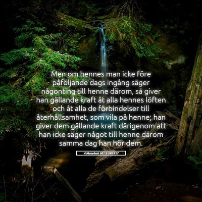 Picture 05 - 4 Mosebok 30:15 SV1917 - Men om hennes man icke före påföljande dags - Bible Verse Picture