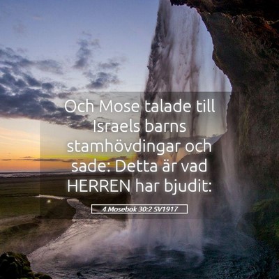 Picture 05 - 4 Mosebok 30:2 SV1917 - Och Mose talade till Israels barns stamhövdingar - Bible Verse Picture