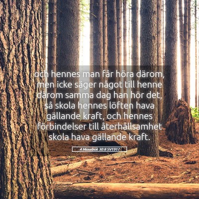 Picture 05 - 4 Mosebok 30:8 SV1917 - och hennes man får höra därom, men icke säger - Bible Verse Picture