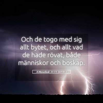 Picture 05 - 4 Mosebok 31:11 SV1917 - Och de togo med sig allt bytet, och allt vad de - Bible Verse Picture