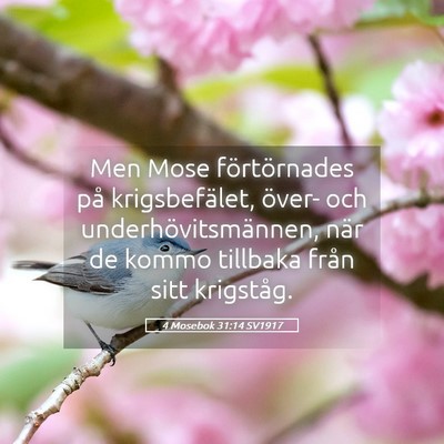 Picture 05 - 4 Mosebok 31:14 SV1917 - Men Mose förtörnades på krigsbefälet, över- - Bible Verse Picture