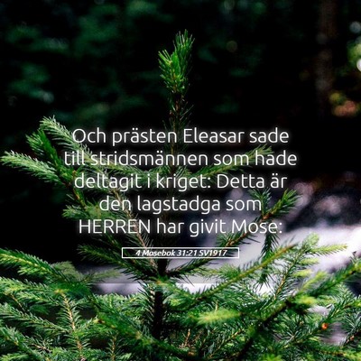 Picture 05 - 4 Mosebok 31:21 SV1917 - Och prästen Eleasar sade till stridsmännen som - Bible Verse Picture