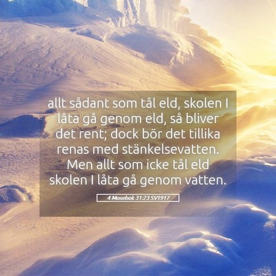 Picture 05 - 4 Mosebok 31:23 SV1917 - allt sådant som tål eld, skolen I låta gå - Bible Verse Picture