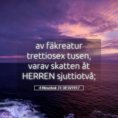 Picture 05 - 4 Mosebok 31:38 SV1917 - av fäkreatur trettiosex tusen, varav skatten åt - Bible Verse Picture