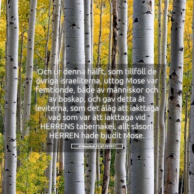 Picture 05 - 4 Mosebok 31:47 SV1917 - Och ur denna hälft, som tillföll de övriga - Bible Verse Picture