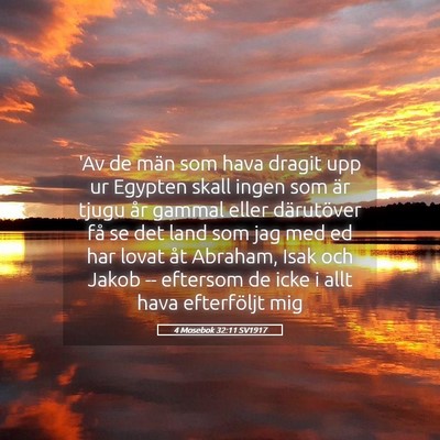 Picture 05 - 4 Mosebok 32:11 SV1917 - 'Av de män som hava dragit upp ur Egypten skall - Bible Verse Picture