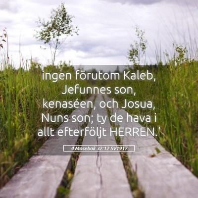 Picture 05 - 4 Mosebok 32:12 SV1917 - ingen förutom Kaleb, Jefunnes son, kenaséen, - Bible Verse Picture