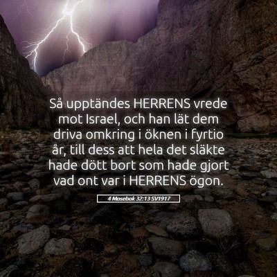 Picture 05 - 4 Mosebok 32:13 SV1917 - Så upptändes HERRENS vrede mot Israel, och han - Bible Verse Picture