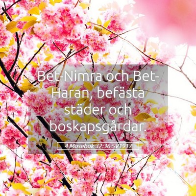 Picture 05 - 4 Mosebok 32:36 SV1917 - Bet-Nimra och Bet-Haran, befästa städer och - Bible Verse Picture