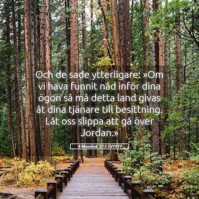 Picture 05 - 4 Mosebok 32:5 SV1917 - Och de sade ytterligare: »Om vi hava funnit nåd - Bible Verse Picture