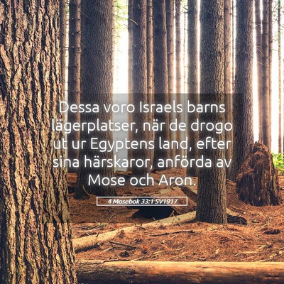 Picture 05 - 4 Mosebok 33:1 SV1917 - Dessa voro Israels barns lägerplatser, när de - Bible Verse Picture