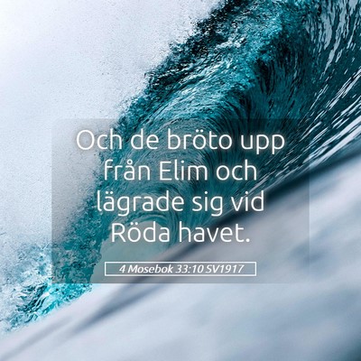 Picture 05 - 4 Mosebok 33:10 SV1917 - Och de bröto upp från Elim och lägrade sig vid - Bible Verse Picture
